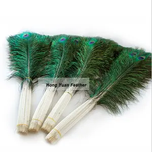 Dyed Supplier 30-35 inci bulu merak alami panjang murah untuk pesta