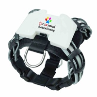 Harnais et gilet lumineux imperméables en gel de silicone rechargeables par USB, collier pour chien LED protégé par brevet américain