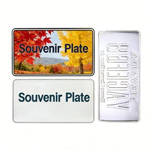 Plaque d'immatriculation décorative en métal aluminium personnalisée avec numéro en relief, souvenir - Product Image 1
