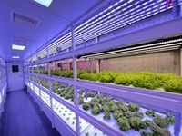 Conteneur maritime intelligent 40HQ pour ferme hydroponique avec couverture en polycarbonate pour la culture de légumes-feuilles en serre