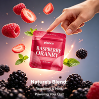 Nouvel Arrivage – Vente en Gros – Bâtonnets Inhalateurs Personnalisables avec Noyaux de Saveur Rechargeables – Inhalateur pour Arrêter de Fumer – Sachets de Recharge Goût Framboise