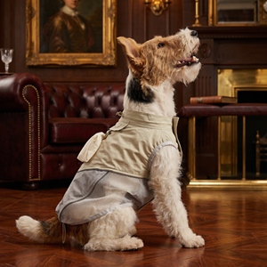 Abbigliamento Personalizzato per Cani all'Ingrosso, Giacca Regolabile Traspirante e Leggera per Bassotto e Cani di Piccola Taglia - Product Image 1
