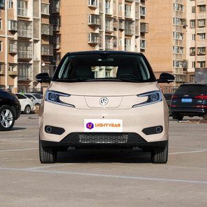 Auto Eléctrico Compacto EV House YOUNG Mini EV para Desplazamientos Urbanos, Conducción Inteligente y Ecológica, Marca China, Económico, Gran Venta - Product Image 2