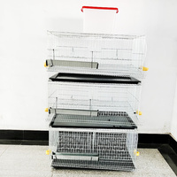 Nouvelle Conception de Cage à Cailles Commerciale Empilable pour l'Élevage et la Production d'Œufs