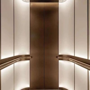 Ascensor doméstico, ascensor para villas, ascensor pequeño, ascensor de pistón, ascensor de tracción, ascensor hidráulico, ascensor para almacenes, ascensor residencial - Product Image 2