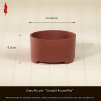 Pot de fleurs en résine moderne pour rebord de fenêtre, petit pot de paysage pour plantes succulentes et plantes à tronc ancien, design épuré