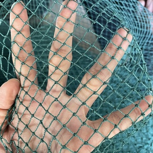Filet <span class=keywords><strong>anti</strong></span>-oiseaux torsadé en nylon/HDPE pour volailles et poulets, fourni directement par l'usine - Product Image 2