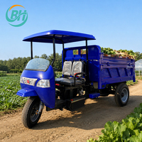 Tricycle cargo diesel puissant 18HP 22HP 25HP, moto à 3 roues pour l'exploitation minière, l'agriculture, la construction et le transport