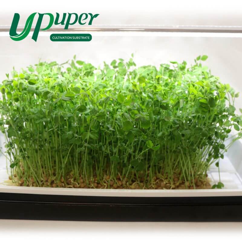 UPuper CS75 Growing Slab Hydroponic Substrate