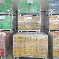 Nuevas Etiquetas de Identificación para Animales Multicolores Amarillo Verde Naranja Azul Personalizadas a Prueba de Manipulación para el Seguimiento de Ganado y la Gestión Agrícola