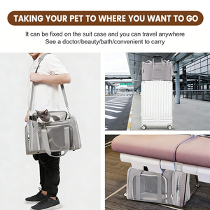 Sac à dos de transport portable pour animaux de compagnie, sac de transport respirant <span class=keywords><strong>en</strong></span> maille pour <span class=keywords><strong>chiens</strong></span> et chats, sac à dos de voyage léger pour petits <span class=keywords><strong>chiens</strong></span> et chats, randonnée <span class=keywords><strong>en</strong></span> plein air - Product Image 5