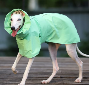 Impermeable de Poliéster para Perros Pequeños y Medianos, Diseño Italian Greyhound Whippet; Poncho para Mascotas con Triple Protección para Todas las Estaciones - Product Image 2