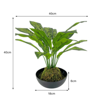 Plante tropicale artificielle Calathea Orbifolia en plastique, réaliste, en vrac, directement de l'usine, pour le bureau du Nouvel An, durable et légère