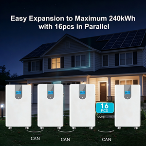 อินเวอร์เตอร์แบบแยกเฟส 51.2V 30kW 50kWh พร้อมตู้แบตเตอรี่ LiFePO4 แบบพกพาสำหรับบ้าน 600Ah - Product Image 6