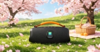 Haut-parleur Bluetooth portable 50W avec écran d'affichage, son HiFi, rechargeable par Type-C, haut-parleurs professionnels, haut-parleur audio TF USB