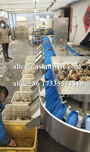 Gia cầm thịt Phễu có trọng lượng phân loại máy/hải sản Rau khay quy mô trọng lượng học sinh lớp dây chuyền sản xuất - Product Image 6
