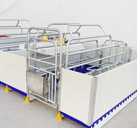 Cage de mise bas de type européen avec conception anti-écrasement et plancher à lattes en fonte