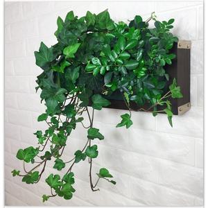 Décoration murale en bois pour la maison, cadre photo, jardinière verticale pour la décoration murale, plastique écologique, logo personnalisé, décoratif SOL vert - Product Image 4