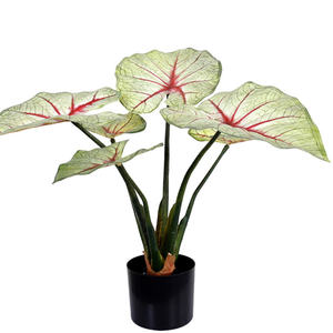 Feuilles d'<span class=keywords><strong>Arum</strong></span> Artificielles Bonsaï Fée <span class=keywords><strong>Arum</strong></span> Paysage Tropical Plantes Maison Bureau Jardin Décoration de Style Nordique - Product Image 4