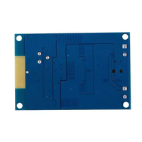 Module amplificateur numérique HIFI 60W Mono Classe D pour kits de modules électroniques DIY 5.0, modification de haut-parleurs, module DC8-24V