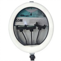 Mini Aro de Luz LED USB de Plástico, 3 Colores Ajustables, 12 Pulgadas, Luz para Selfies y Vlogs &amp;   Iluminación Fotográfica para Maquillaje