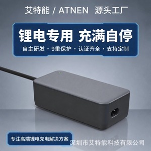 Chargeur de batterie portable 16,8 V pour usage industriel avec charge rapide et contrôle de la température - Product Image 4