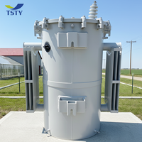 Transformador de Distribución Monofásico para Montaje en Poste TSTY UL 25KVA 75KVA 167KVA 13.2KV-120/240V