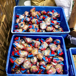 Modelo de árbol bronquial humano-Ramificación de tráquea anatómica para enseñanza de neumología - Product Image 6