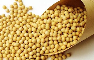 90% ホスファチジン酸粉末大豆エキス食品グレードハーブエキス真空パックドラム卸売りCAS 475995-54-1 - Product Image 3