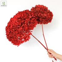 Fleurs d'hortensia stabilisées vintage rétro aux couleurs d'automne en gros pour mariage, maison, fête, fleur éternelle décorative