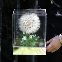 Boîte cadeau carrée en acrylique avec pissenlit géant préservé fait main, décorations pour la maison, fleurs d'hortensia et de gypsophile préservées à jamais
