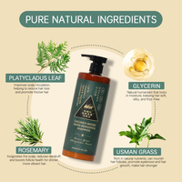 Sampo Organik NARY Usman Grass 500ml Perawatan Alami Daun Platycladus Herbal untuk Pertumbuhan Rambut Kembali Grosir Kustom