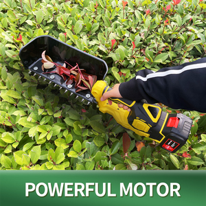 Macchina elettrica impermeabile per spennare il tè con batteria al litio di grado industriale per piantagioni di tè India Sri Lanka Turkey Kenya - Product Image 3