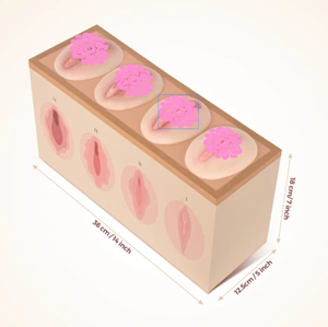 Recursos Didácticos de Modelos de Tensado Vaginal para Mujeres en Niveles 1-4 en Ciencias Médicas de Ginecologí<span class=keywords><strong>a</strong></span> - Product Image 3