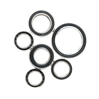 Rodamiento Híbrido de Cerámica Serie MTZC 6700, 6701, 6702, 6703, 6704, 6705, 6706, Acero Cromado para Maquinaria OEM