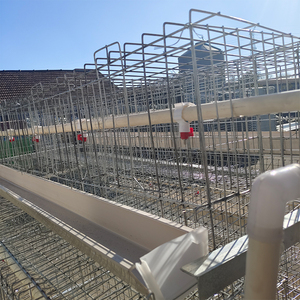 Cage à <span class=keywords><strong>poules</strong></span> automatique <span class=keywords><strong>pour</strong></span> <span class=keywords><strong>poules</strong></span> <span class=keywords><strong>pondeuses</strong></span>, batterie avicole d'occasion, poulailler à vendre, meilleur prix sur <span class=keywords><strong>les</strong></span> cages à oiseaux - Product Image 6