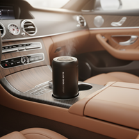 Luxe noir Oud Rose Freesia voiture désodorisant aromathérapie lumière ambiante métal vaporisateur diffuseur longue durée liquide évent USB