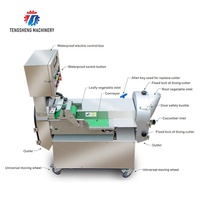 TS-Q118 Automatische Bladeren Groentesnijder Machine/Groente Slicer Apparatuur Prijs Fruit Groente Verwerking Machines N