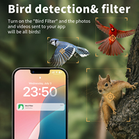 Willfine Caméra Alimentée par Énergie Solaire 4K AI pour Nids d'Oiseaux, Moniteur Intelligent de Faune pour Fenêtre, Vidéo HD avec Détection de Mouvement pour l'Observation des Oiseaux