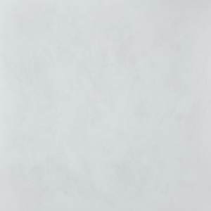 Finition légère de mur de texture d'Anti-champignon de panneau de mur pour l'intérieur - Product Image 1