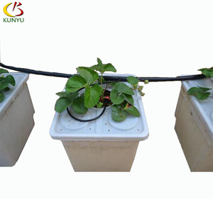 Kit Completo Sistema Idroponico Dutch Bucket <span class=keywords><strong>con</strong></span> Pompa e Irrigazione a Goccia per Coltivazione di Ortaggi Indoor e Outdoor - Product Image 2
