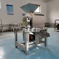 Automatische Groente Fruit Pulp Making Machine Hoge-Uitvoeren Fruit Puree Machine