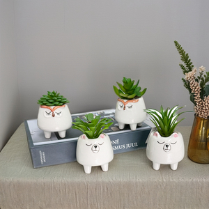 Mini bonsái, plantas tropicales ecológicas artificiales, hierba de palmera suculenta en vivo con maceta de cerámica para ocasiones artesanales - Product Image 6