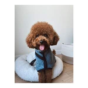 Ready to Ship Double Layer <b>Dog</b> Bathrobe XL Heavy Absorbent Quick Dry Towel Robe for <b>Large</b> & Giant <b>Dogs</b> Made in Turkey - Product Image 4