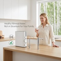 Système d'osmose inverse IMRITA de qualité commerciale 800 GPD, purificateur d'eau sans réservoir, filtre à eau potable alcaline sous l'évier