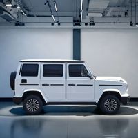 Vendeur Chine - Voiture électrique Mini G Wagon EV pour adultes, véhicule à énergie nouvelle, cinq portes et cinq places, intérieur luxueux