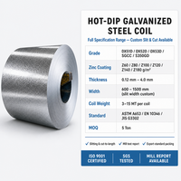 Bobine d'acier galvanisé à chaud ASTM 0,21 mm ~ 0,50 mm DX51D SGCC Z30-Z275, bobine métallique GI revêtue de zinc, vente en gros directe usine