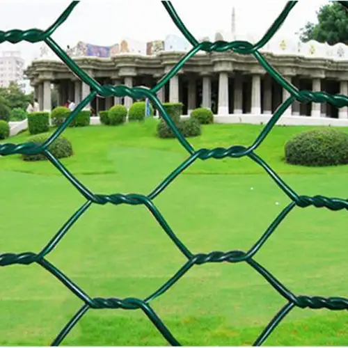 Verde anticorrosione zincato rete metallica esagonale gabbia per polli recinzione da giardino uso domestico
