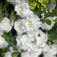 Promesse mariage indien événement décoration toile de fond blanc et vert arc de fleurs artificielles pour la décoration de mariage