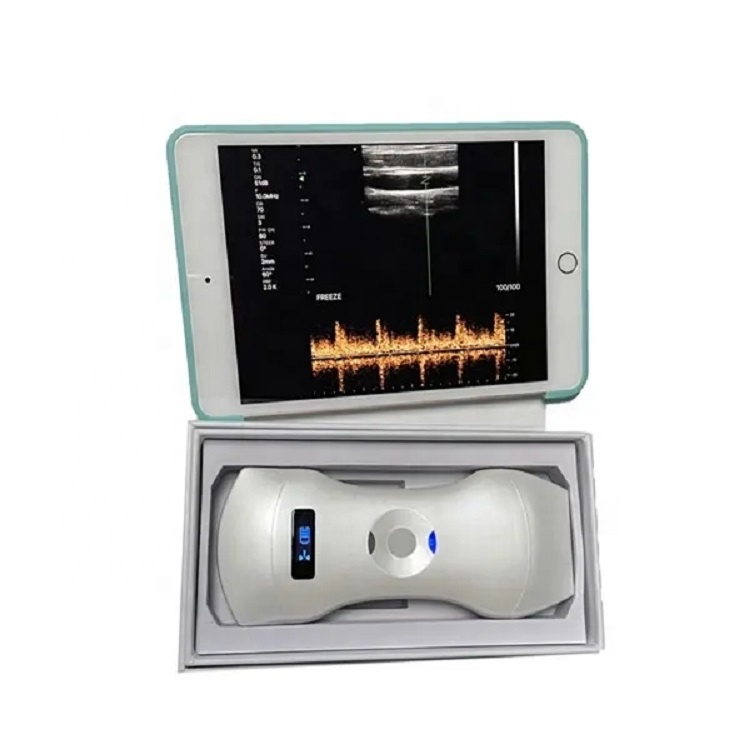 ultrasound head